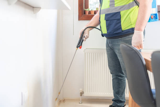Best Termite Control Services  in North Westport, MA