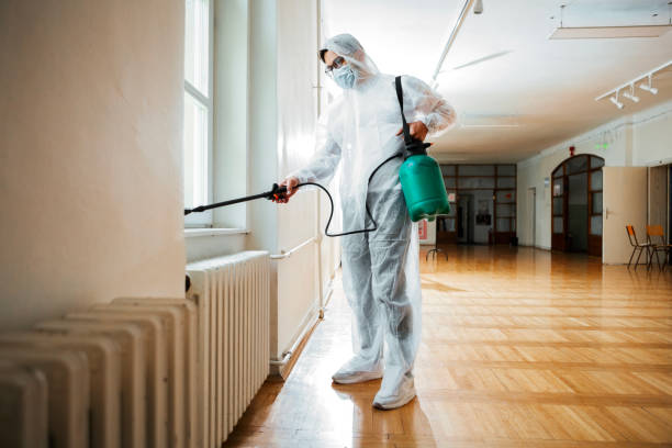 Best Cockroach Control Services  in North Westport, MA